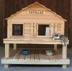 a cat sitting on top of a wooden house