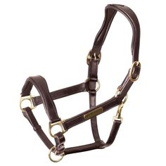 the bridle is made from leather and has brass fittings on each side