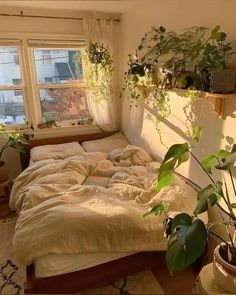 an unmade bed with plants on the windowsill