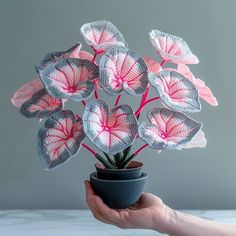 a hand holding a potted plant with pink flowers