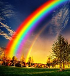 a rainbow appears in the sky over a green field with trees and grass on both sides