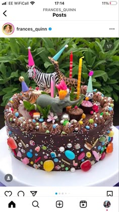 a cake decorated with animals and candles on top of a white plate in front of some plants