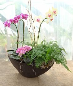 some pink and white flowers are in a black bowl on a table next to a window