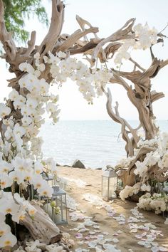 an outdoor wedding setup with white flowers and petals on the ground next to the ocean