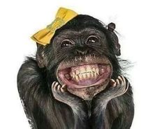 a monkey with a yellow bow on it's head is smiling and holding its mouth open