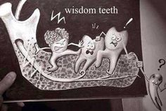 Wisdom teeth be like... Pain In Back, Wisdom Teeth Swelling, Dentist Jokes, Impacted Wisdom Teeth, Tooth Extraction Aftercare, Wisdom Teeth Funny, Dental Photos, Dentist Art