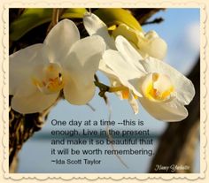 white orchids with an inspirational quote about time - this is enough live in the present and make it so beautiful that it will be worth remembrance