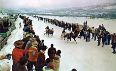 a large group of people standing in the snow next to cars and trucks with horses on them