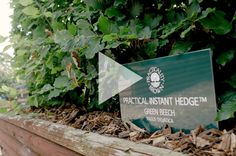 a green sign sitting on top of a wooden planter filled with lots of leaves