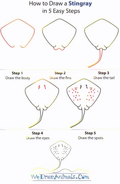 how to draw stingray step by step instructions for children and adults, with pictures on the