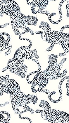 black and white cheetah print fabric