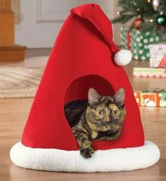 a cat laying in a red and white christmas hat