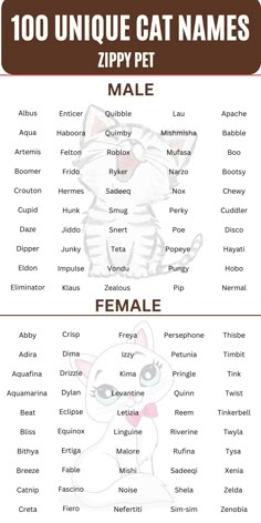 a poster with different types of cats and names for each cat's name on it