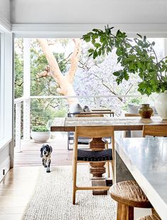 a dog is standing in the middle of a room with an open floor plan and large windows