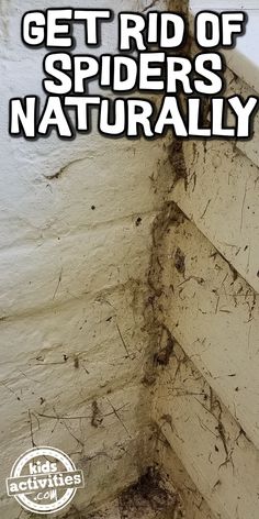 the corner of a wall with dirt on it and text that reads get rid of spider's naturally