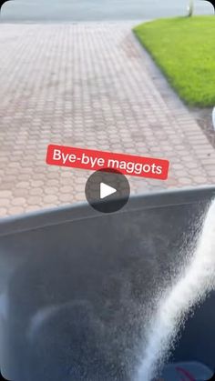 someone is spraying water on the hood of their car with a sprayer that says bye - bye maggots