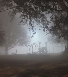 a foggy park with swings and trees