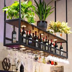 a shelf filled with lots of bottles and glasses next to potted plants on top of a wall