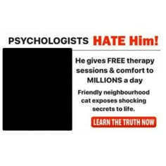 a sign that says,'i give free therapy session and comfort to millions a day friendly neighborhood cat exposes shocking secrets to life