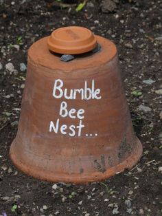 a brown pot with writing on it sitting in the dirt next to some purple flowers