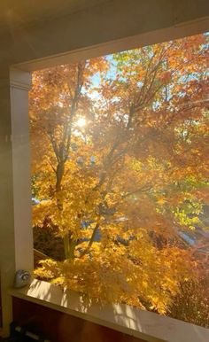 the sun shines brightly through an open window on a sunny autumn day, with trees in the foreground