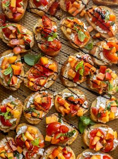 small appetizers with tomatoes, cheese and basil