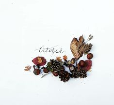 autumn leaves and acorns with the word october written in cursive writing