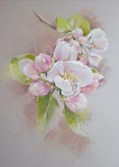 pastel painting of pink flowers and green leaves