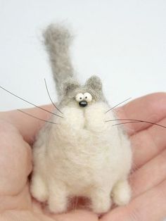 a hand holding a small white and gray cat in it's palm