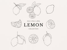 the lemon collection is drawn in black and white