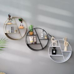 three circular shelves are hanging on the wall next to a potted plant and candle holder