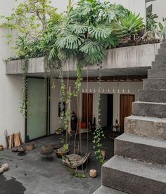 an outdoor area with stairs and potted plants on the top floor, surrounded by concrete steps