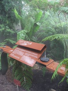 a sign in the middle of a forest with trees and plants around it that are covered by fog