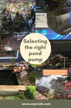 the pond pump has been placed in front of some plants and rocks with text overlay that reads selecting the right pond pump