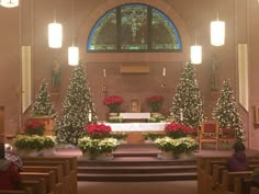 the interior of a church decorated with christmas trees and poinsettia's