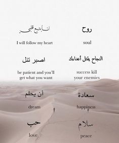 the words in arabic are written on sand dunes