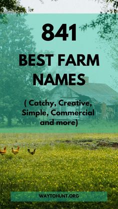 Check out the list of Catchy, Creative, Simple and Best Farm Names for you to Use