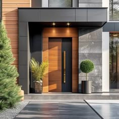 the front entrance to a modern home with two potted plants on either side of the door