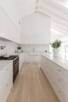 a large kitchen with white cabinets and wood flooring on the countertops, along with a potted plant in the center