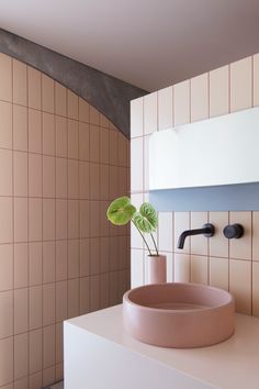 a bathroom sink with a potted plant in it