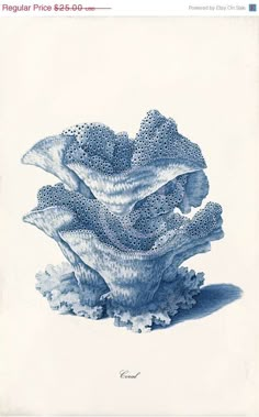 a blue and white drawing of some corals