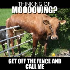 a brown cow standing next to a fence with the caption thinking of moooing? get off the fence and call me