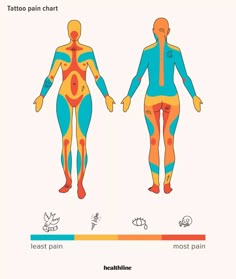 the back and side view of a woman's body