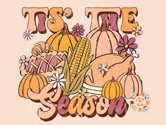 the word tise season is surrounded by pumpkins and gourds with flowers