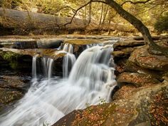 a small waterfall in the middle of a forest filled with trees and leaves on top of rocks