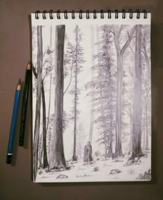 a pencil drawing of trees in the woods