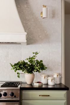 a potted plant sitting on top of a counter next to a stove and oven