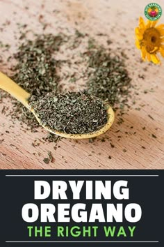 a wooden spoon filled with oregano on top of a table next to a yellow flower