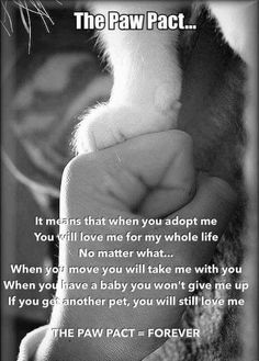 a black and white photo with a poem written on it that says, the paw pact