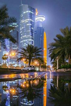 the city is lit up at night with its lights on and palm trees reflected in the water